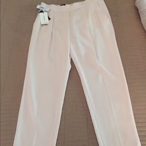 Never worn Babaton pants