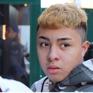 Meet your Posher, Leonardo