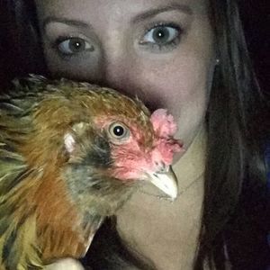 Meet your Posher, Paige