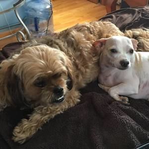 Meet your Posher, Carolyn