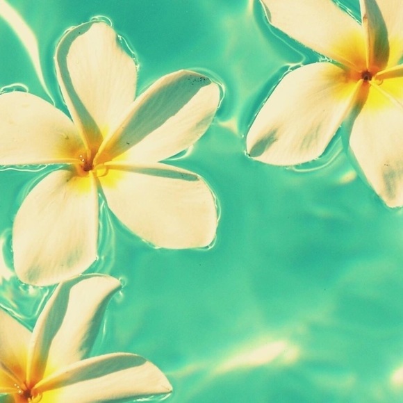 Meet your Posher, Kaitlin - Picture 1 of 1