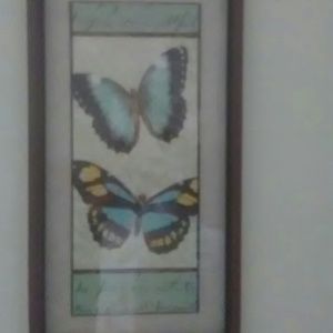 Meet your Posher, Rosa