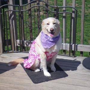 Meet your Posher, Jackie