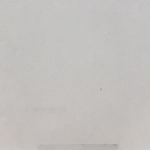 Meet your Posher, Zack