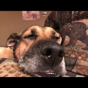 Meet your Posher, Caitlin