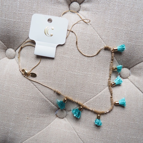 Fringe Tassel Necklace