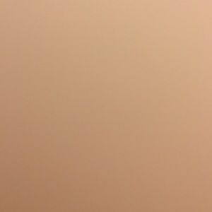 Meet your Posher, Sharey