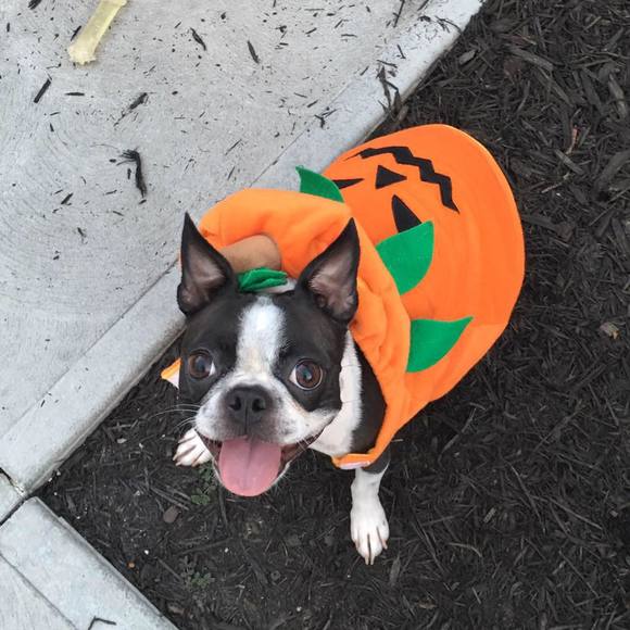 Meet your Posher, Leah - Picture 5 of 5