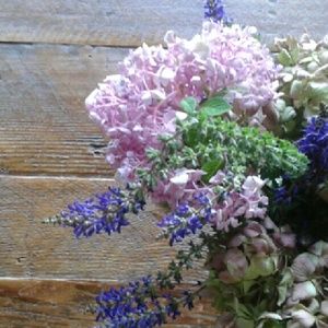 Meet your Posher, Courtney