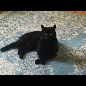 Meet your Posher, Angie