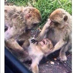 Meet your Posher, Lavera