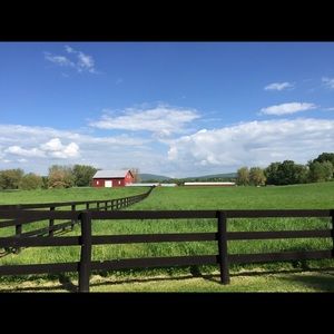 Meet your Posher, Brenda