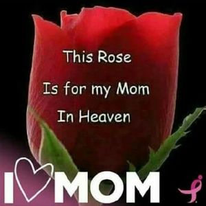 Meet your Posher, Joann