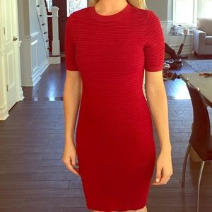Torn by Ronny kobo rib knit dress