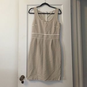 Great office dress NEVER WORN