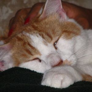 Meet your Posher, Deeanna