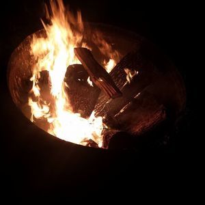 Meet your Posher, Phoenix