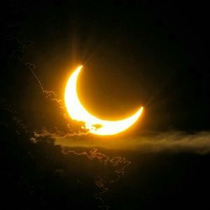 Meet your Posher, Chastity