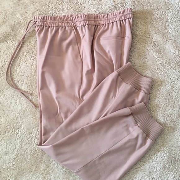 J. Crew Pants - J Crew Wool Dress/Jogger Pants Size 10