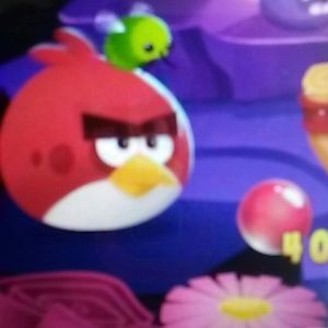 Meet your Posher, Mel