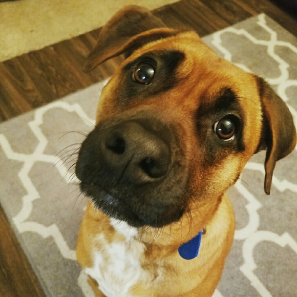 Meet your Posher - Picture 2 of 4