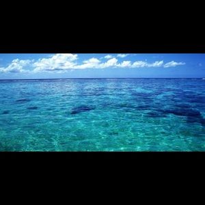 Meet your Posher, Isabella