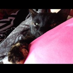 Meet your Posher, Morgan