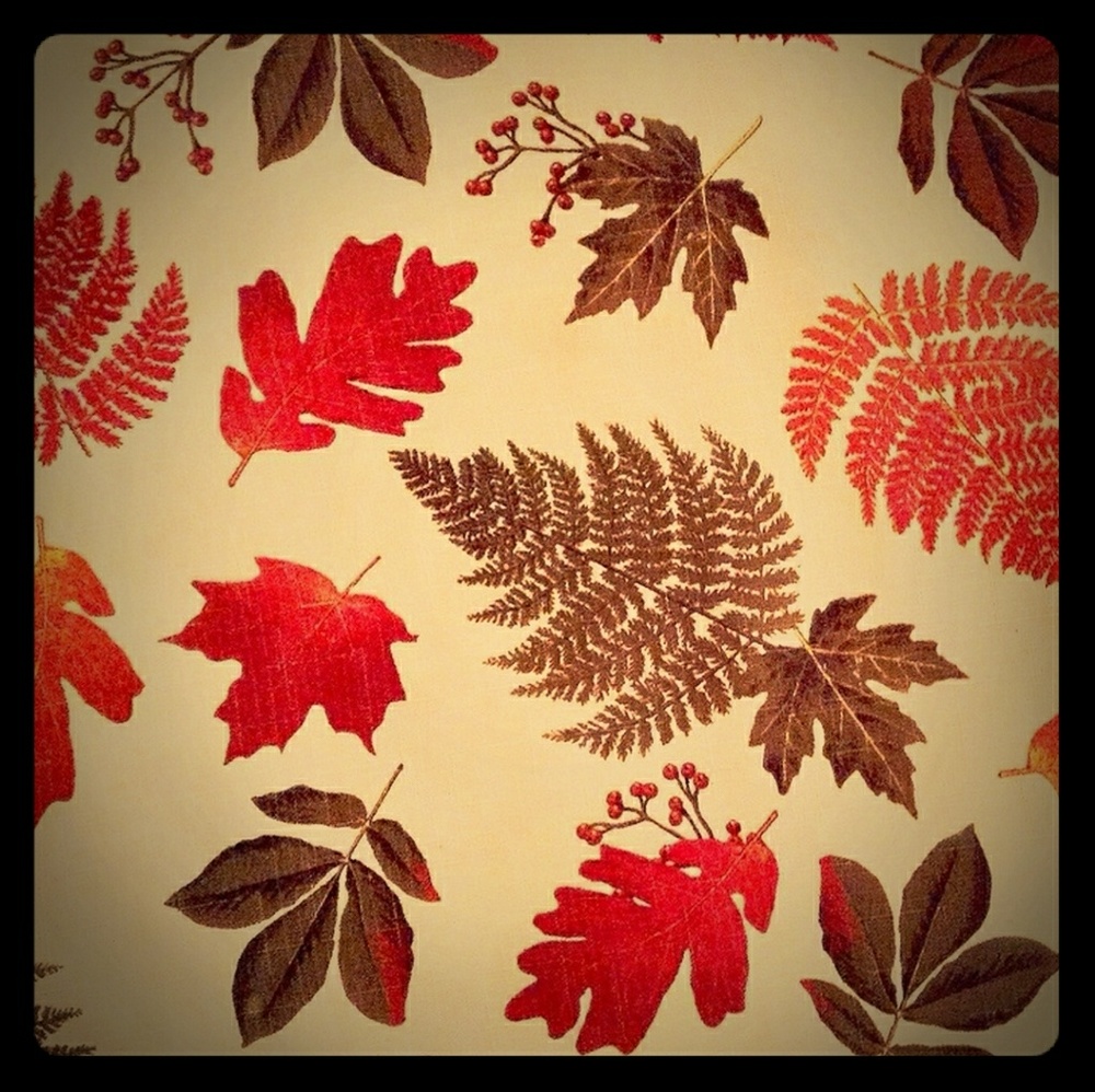 Meet your Posher, Brittani