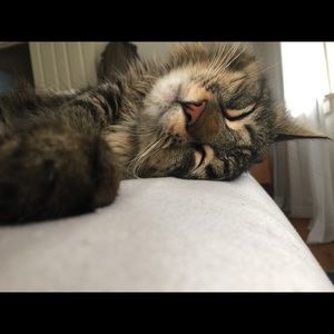 Meet your Posher, Karina