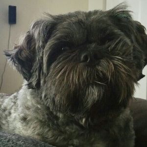 Meet your Posher, Kristy