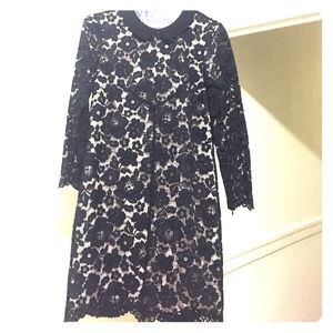 Never worn Ted Baker dress with tags