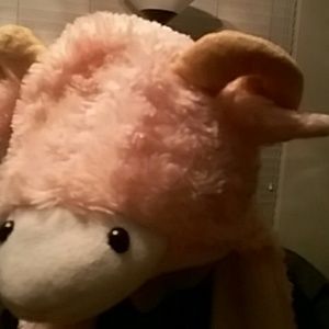 Meet your Posher, Paige