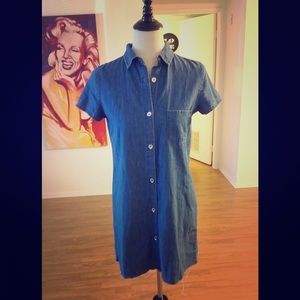 Zara "Essentials" Button-down Denim Dress