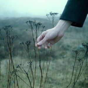 Meet your Posher, Jade