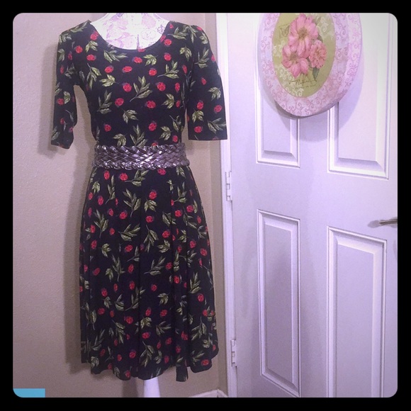 LuLaRoe lady bug Nicole dress!