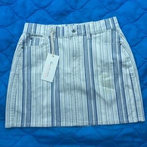 Mini Skirt
