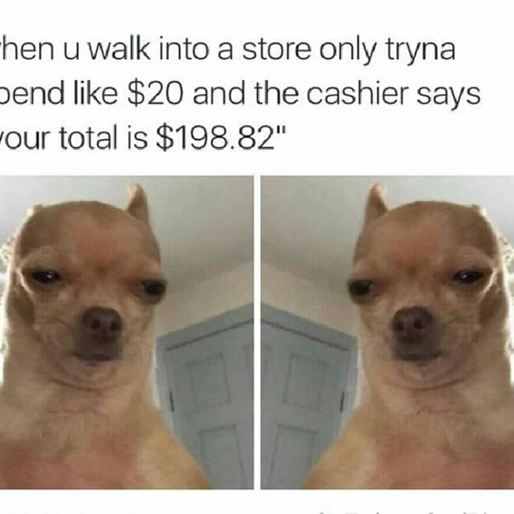 Meet your Posher, Jaz - Picture 1 of 1