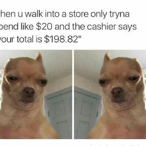 Meet your Posher, Jaz