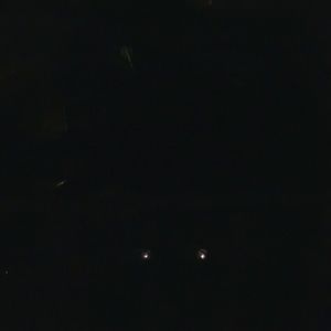 Meet your Posher, Maryann