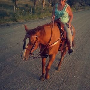 Meet your Posher, Sandra