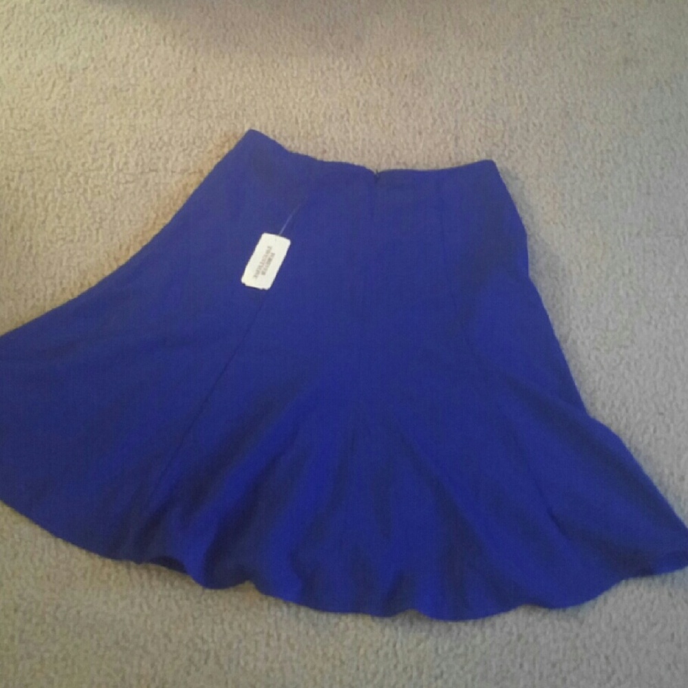 Cobalt Knee-Length Skirt
