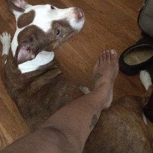 Meet your Posher, Denise