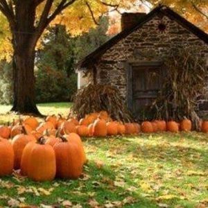 Meet your Posher, Mandy