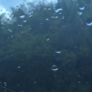 Meet your Posher, Mohammed