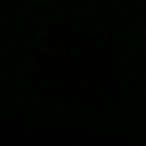 Meet your Posher, Omar