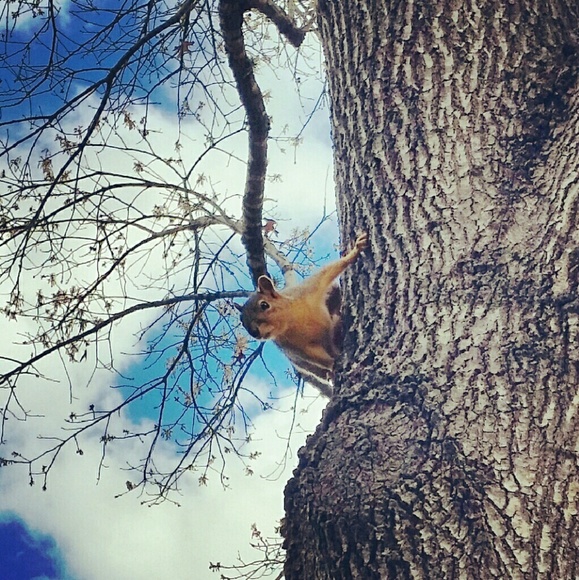 Meet your Posher, Victoria