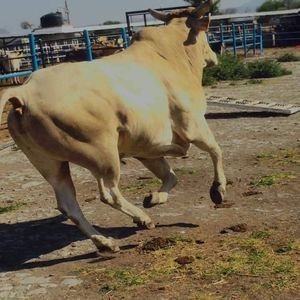 Meet your Posher, Isaiah