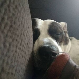 Meet your Posher, Cathy