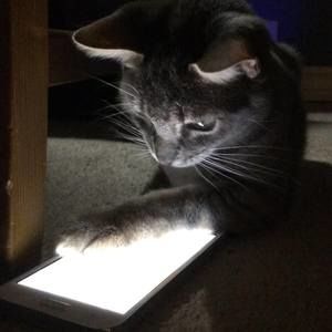 Meet your Posher, Georgeantonio