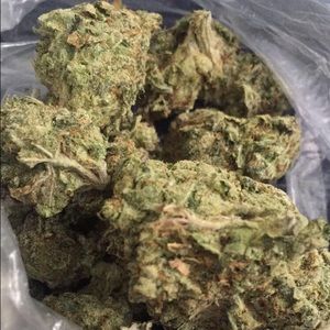 Meet your Posher, Ray